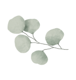 Sản phẩm Sline Beauty Spa